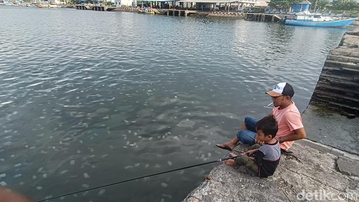 **Wuiih... Ubur-ubur Muncul di Pelabuhan Mayangan Probolinggo, Pesona Alam yang Tidak Bisa Dilewatkan!**