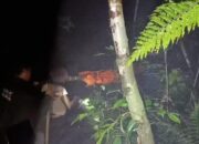 Evakuasi Berhasil di Gunung Pesagi Lampung: Kisah Menegangkan dari Seorang Pendaki