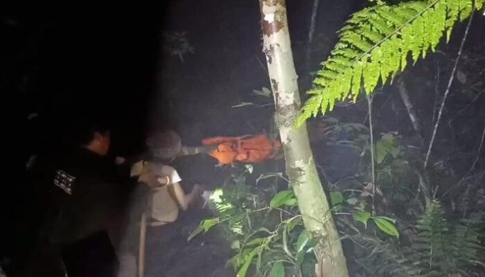 Evakuasi Berhasil di Gunung Pesagi Lampung: Kisah Menegangkan dari Seorang Pendaki
