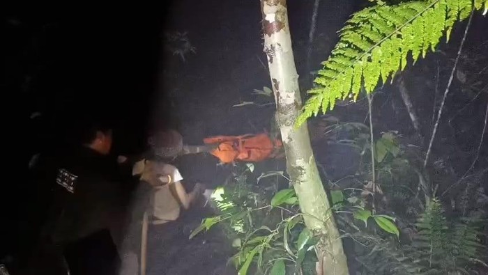 Evakuasi Berhasil di Gunung Pesagi Lampung: Kisah Menegangkan dari Seorang Pendaki