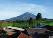 “4 Hari Hilang di Gunung Cikuray: Kisah Pertahanan Hidup Remaja 16 Tahun yang Mengejutkan Dunia”