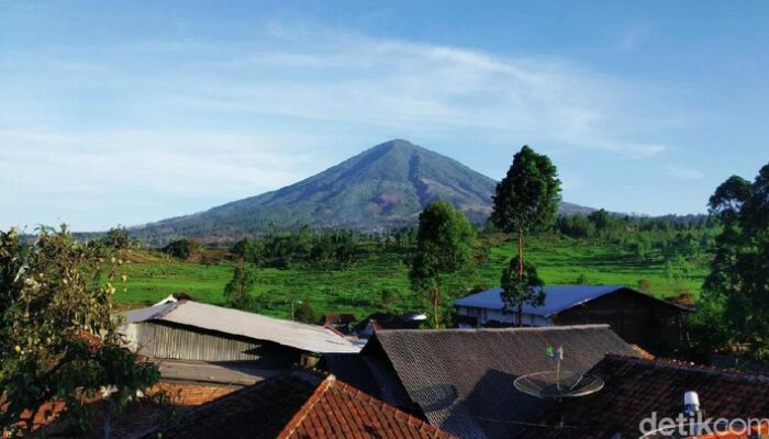 “4 Hari Hilang di Gunung Cikuray: Kisah Pertahanan Hidup Remaja 16 Tahun yang Mengejutkan Dunia”