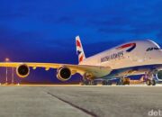 “Terbang ke Mana? Gara-Gara Gigitan Serangga, Keluarga Ini Dilarang Berpergian!”