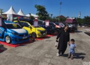 “Inspirasi Modif Mobil Daihatsu: Dari Zebra hingga Badak Lepas, Inilah yang Menjelma!”