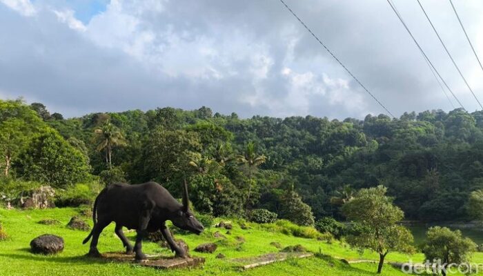 Kebun Raya Kuningan: Oase Nyata di tengah Hektiknya Ibukota