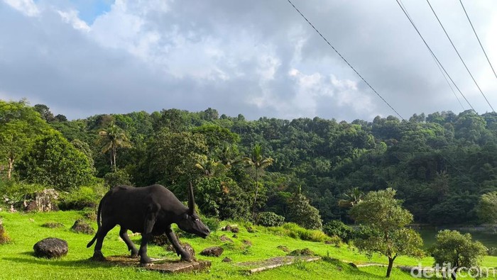 Kebun Raya Kuningan: Oase Nyata di tengah Hektiknya Ibukota