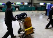 Aneh Tapi Nyata, Barang Unik yang Dibawa Penumpang ke Pesawat