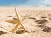 **Pantai Brasil yang Menakjubkan, Namun Berhati-Hatilah Saat Bermain Pasir!**