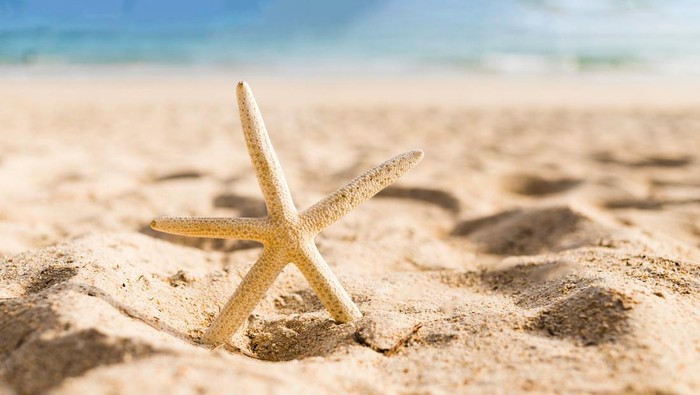 **Pantai Brasil yang Menakjubkan, Namun Berhati-Hatilah Saat Bermain Pasir!**