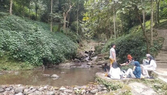 **Bogor Janji Serius Kembangkan Geopark Halimun Salak: Pariwisata Eksotis untuk Petualang**