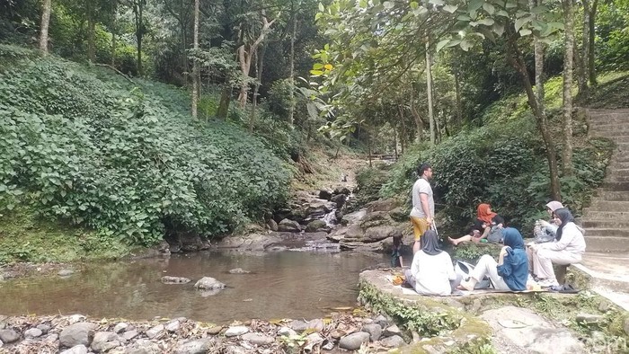 **Bogor Janji Serius Kembangkan Geopark Halimun Salak: Pariwisata Eksotis untuk Petualang**