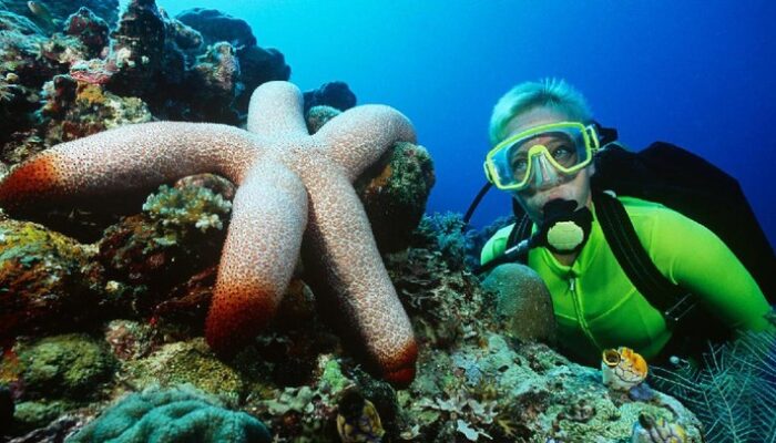 **Diving Tanpa Pengawasan di Pulau Sipadan: Tragedi yang Mencengangkan Turis**
