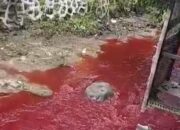 **Sungai Silayar di Cirebon, Misteri Warna Merah Darah yang Menakjubkan!**
