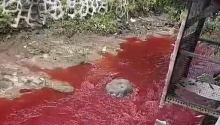 **Sungai Silayar di Cirebon, Misteri Warna Merah Darah yang Menakjubkan!**