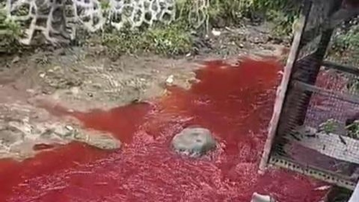 **Sungai Silayar di Cirebon, Misteri Warna Merah Darah yang Menakjubkan!**