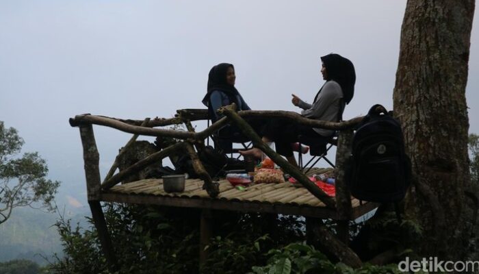 Kopi Langsung dari Kebun: Ekspedisi Petik dan Seduh di Pegunungan Muria