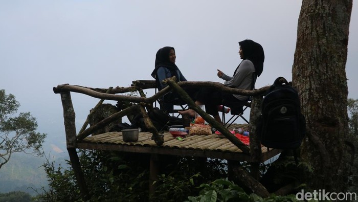 Kopi Langsung dari Kebun: Ekspedisi Petik dan Seduh di Pegunungan Muria