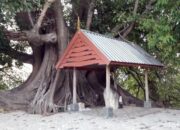 Kisah Raja Suku Mandar yang Dimakamkan Satu Liang dengan 14 Dayang-dayang – Update 1