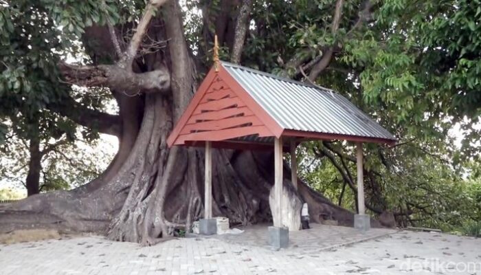 Kisah Raja Suku Mandar yang Dimakamkan Satu Liang dengan 14 Dayang-dayang – Update 1