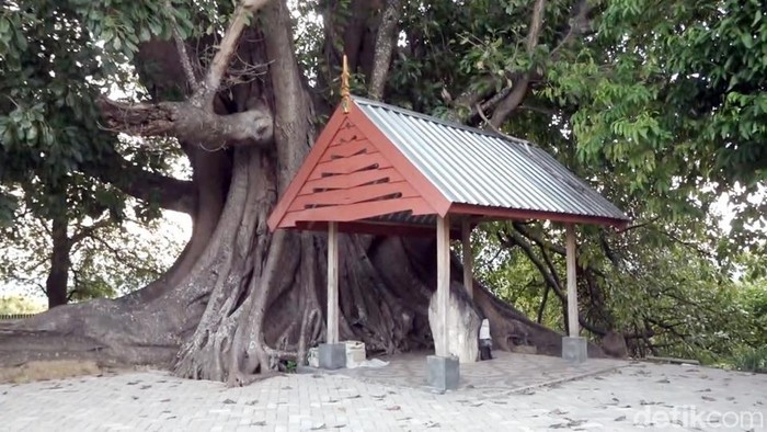 Kisah Raja Suku Mandar yang Dimakamkan Satu Liang dengan 14 Dayang-dayang - Update 1