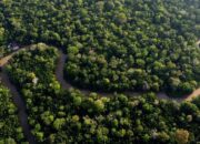 **Bak di Film: Ekspedisi Hutan Amazon, Kapal Turis Dibajak Perampok**