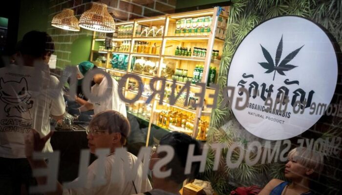 “Eksplorasi Pariwisata Ganja Thailand yang Menarik Turis dari Seluruh Dunia”