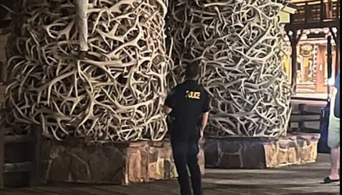 **Demi Goda Perempuan di Taman, Pria Mabuk Panjat Lengkungan Tanduk Rusa di Jackson Hole**