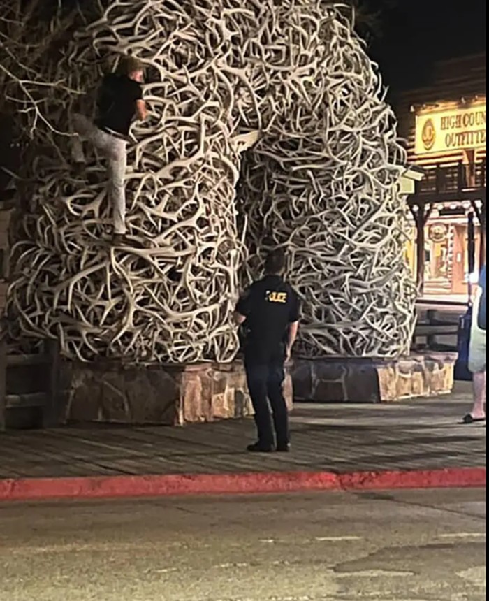 **Demi Goda Perempuan di Taman, Pria Mabuk Panjat Lengkungan Tanduk Rusa di Jackson Hole**