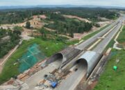 **Jelajahi Jembatan Satwa Rp2,6 T di Tol IKN, Kariangau-Simpang Tempadung**