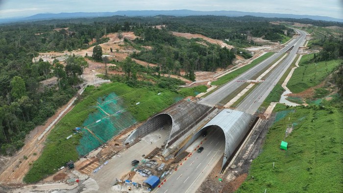 Proyek Jembatan Satwa Rp2,6 T di Tol IKN: Solusi atau Masalah untuk Perlintasan Satwa Liar?
