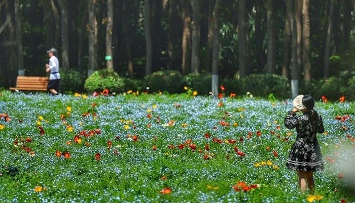 Taman-taman Kota di Negara Lain yang Buka 24 Jam: Tempat Bermain Malam Hari?