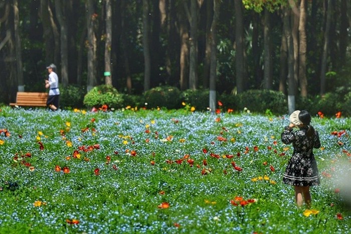 Taman-taman Kota di Negara Lain yang Buka 24 Jam: Tempat Bermain Malam Hari?