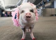 “5 Tempat Eksotis di Bali untuk Para Pencinta Alam”