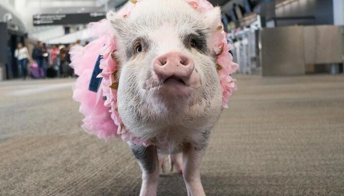 “5 Tempat Eksotis di Bali untuk Para Pencinta Alam”