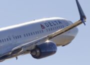 Dua Burung Merpati Bikin Pesawat Delay di Minneapolis ke Madison