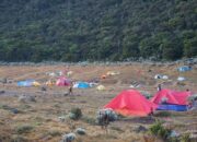 Gila! Ribuan Pendaki Ilegal Terjebak, Gunung Pangrango Berteriak: Cukup!