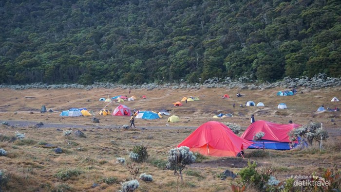 Gila! Ribuan Pendaki Ilegal Terjebak, Gunung Pangrango Berteriak: Cukup!