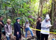 “Pertemuan Menakjubkan: Arca-Menhir di Gunung Tangkil, Warisan Budaya Baru yang Wajib Dikunjungi!”