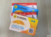 SIM Indonesia Berlaku di 8 Negara ASEAN, Daftar Lengkapnya