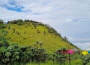 **Heboh Kapling Lahan di Camp Gunung Merbabu dengan Spanduk Merah Membentang**