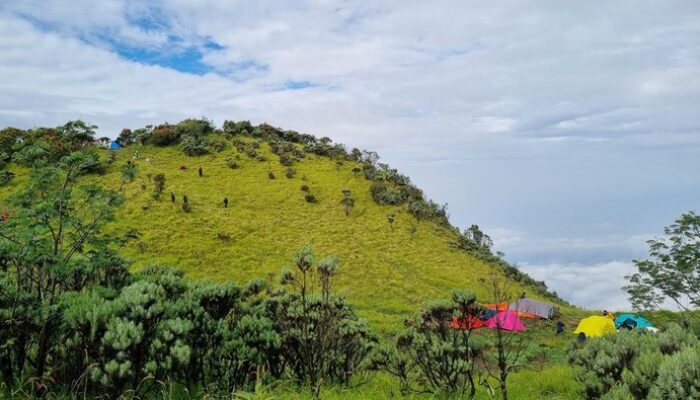 **Heboh Kapling Lahan di Camp Gunung Merbabu dengan Spanduk Merah Membentang**