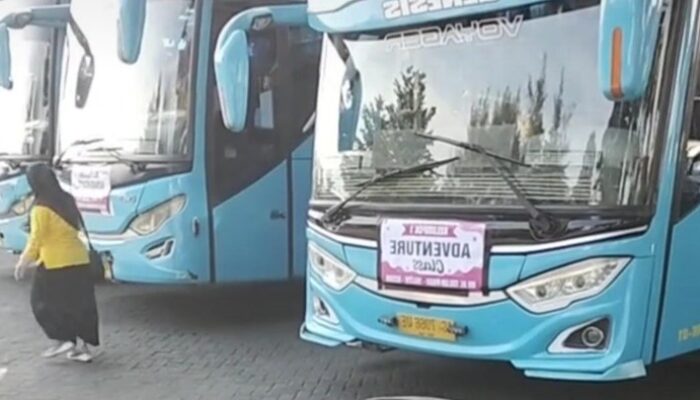 **Viral Parkir Bus Dipatok Rp 800 Ribu, Ini Fakta dari Video Curhatan di Blitar**
