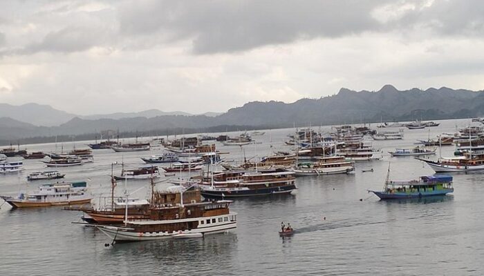 **20 Wisatawan Tertipu Agen Travel di Labuan Bajo, Dispar Berikan Jawaban!**