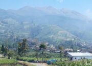 **Viral Area Kemping Gunung Merbabu: Kaplingan Open Trip dan Kontroversi**