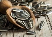 Artis AS dan Kuaci Biji Matahari: Bagaimana Kebiasaan Unik Ini Hampir Membuatnya Gagal Terbang?