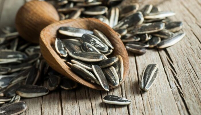 Artis AS dan Kuaci Biji Matahari: Bagaimana Kebiasaan Unik Ini Hampir Membuatnya Gagal Terbang?