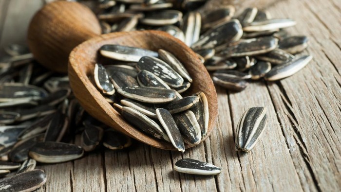 Artis AS dan Kuaci Biji Matahari: Bagaimana Kebiasaan Unik Ini Hampir Membuatnya Gagal Terbang?