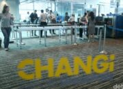 **Terpopuler: Singapura Tangkap Ratusan Turis, Wisatawan Harus Waspada!**