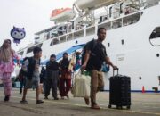 **Eksplor Dunia dengan Tarif Kapal Pelni Diskon 50% Hingga 31 Juli 2025!**