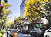 “Braga Menarik, Bisa Makin Asyik Andai Libatkan Warlok Kembangkan Wisata: Transformasi Pariwisata yang Wajib Dicoba!”